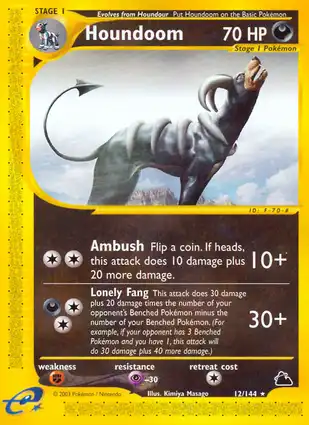 Houndoom 12/144 Skyridge