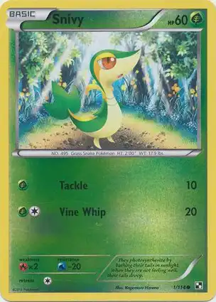 Snivy 1/114 Black & White