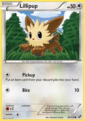 Lillipup 80/114 Black & White