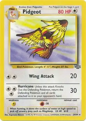 Pidgeot 24/64 Jungle