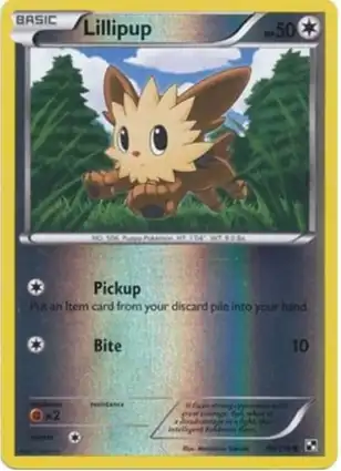 Lillipup 80/114 Black & White