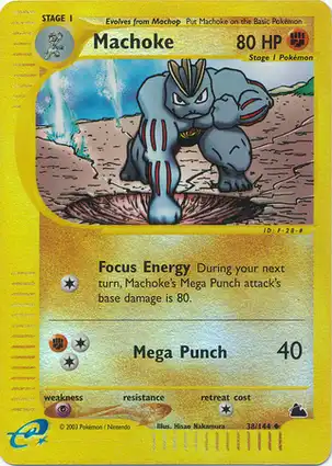 Machoke 38/144 Skyridge