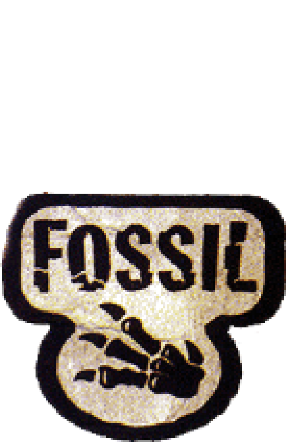 Fossil 1st Edition