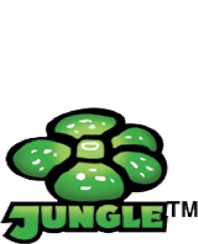 Jungle 1st Edition